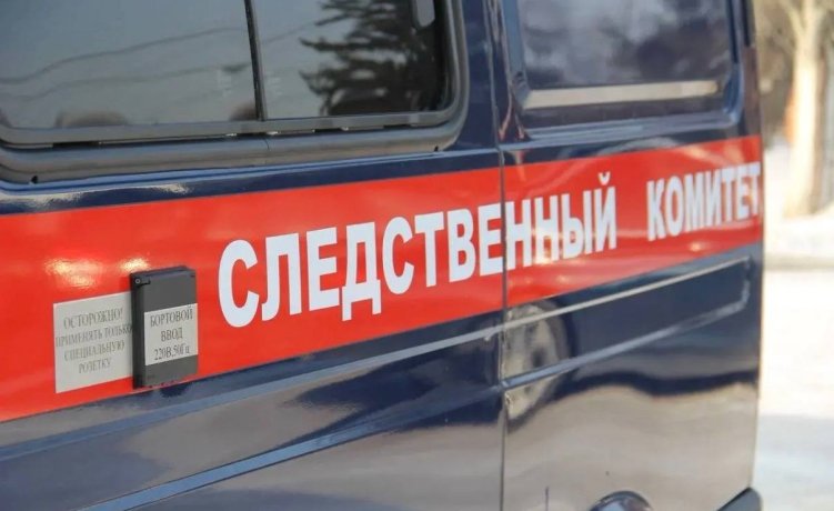 Фото: СУ СК по Красноярскому краю и Хакасии 