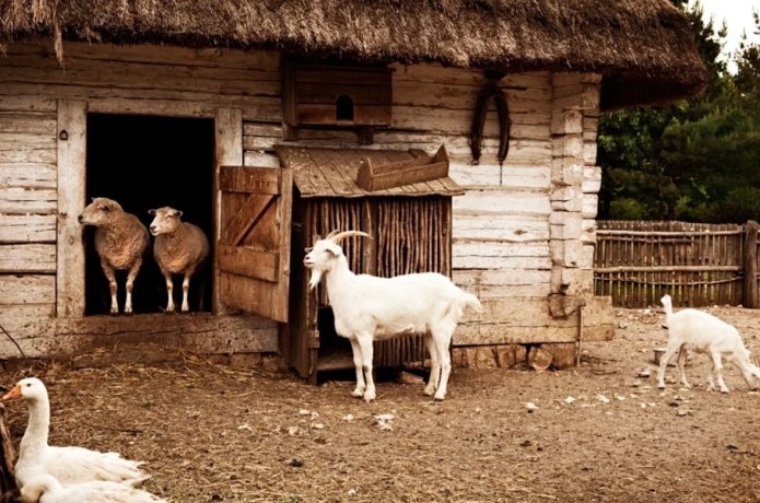 Фото: istockphoto.com