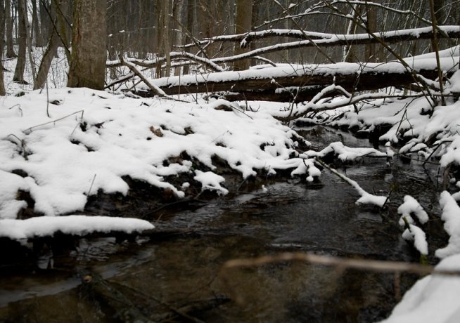 Фото: Обложка © freepik