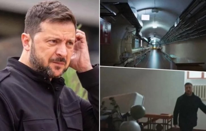 Фото: Коллаж АиФ