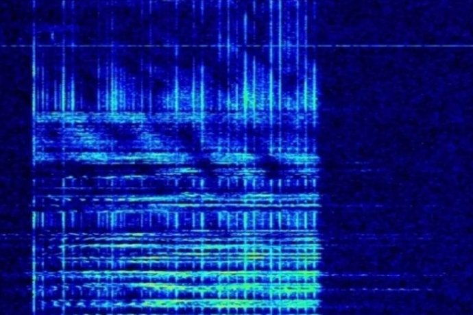 Фото: Скриншот