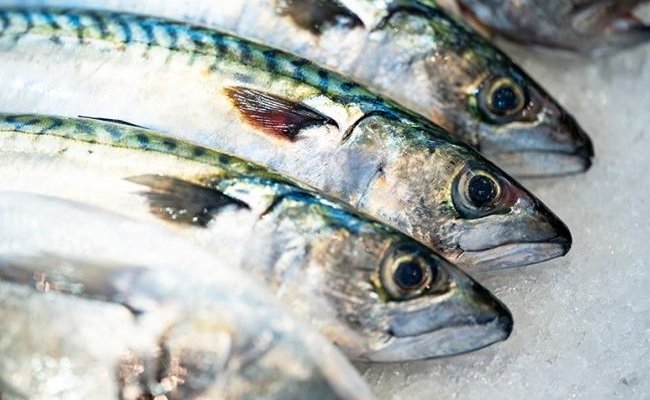 Фото: dpa/picture-alliance/ТАСС