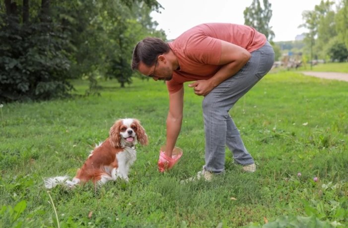 Фото: istockphoto.com