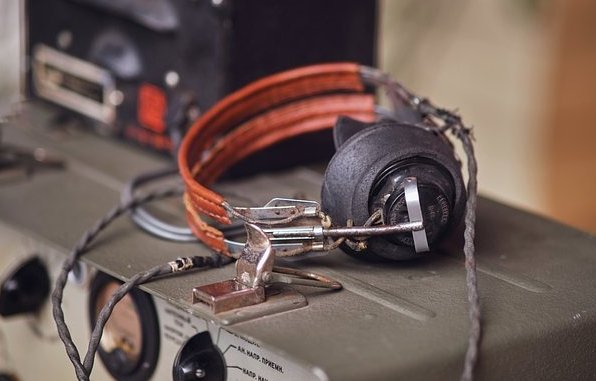 Фото: Zhuravlev Andrey / Shutterstock / Fotodom