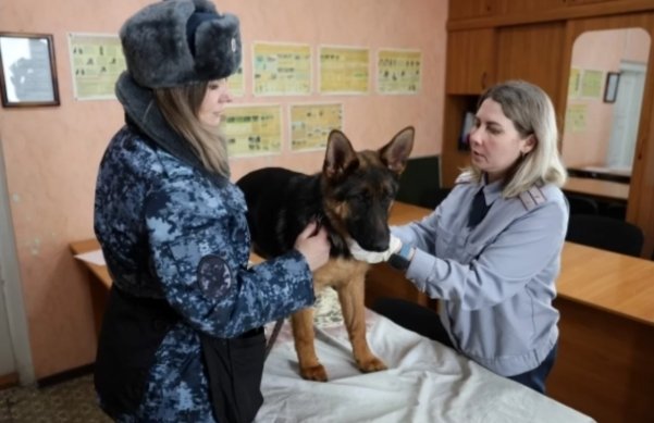 Фото: ГУФСИН по Кемеровской области