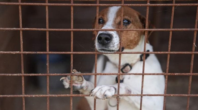 Фото: ИЗВЕСТИЯ/Павел Волков