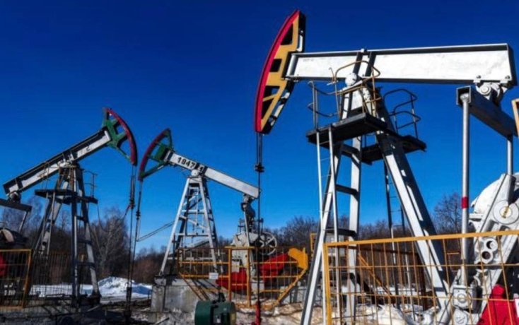 Фото: © Егор Алеев/ ТАСС