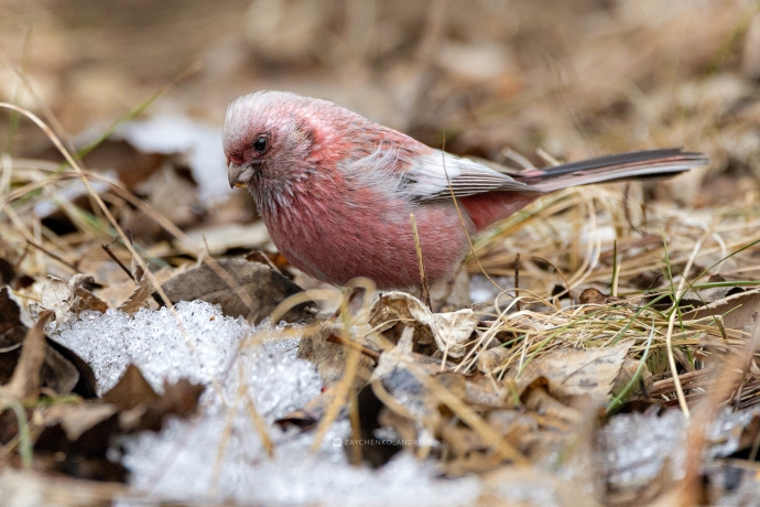 Фото: Андрей Зайченко