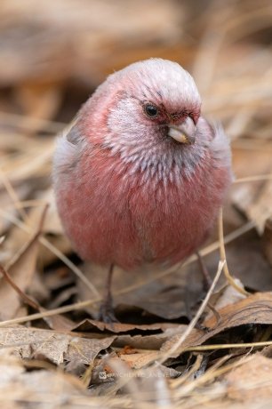 Фото: Андрей Зайченко