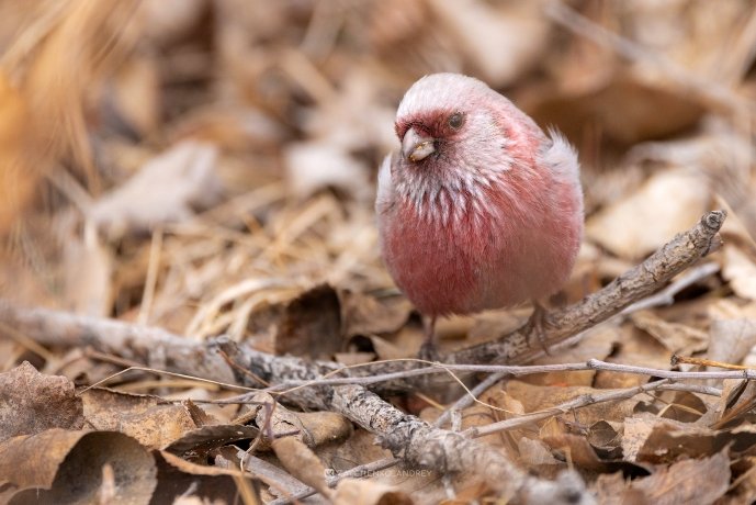 Фото: Андрей Зайченко
