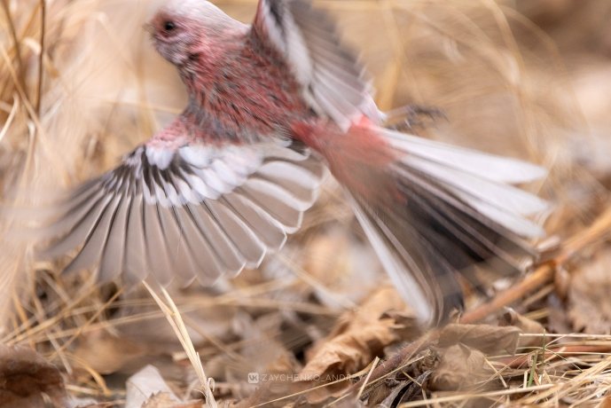 Фото: Андрей Зайченко