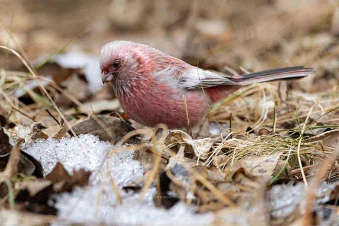Фото: Андрей Зайченко