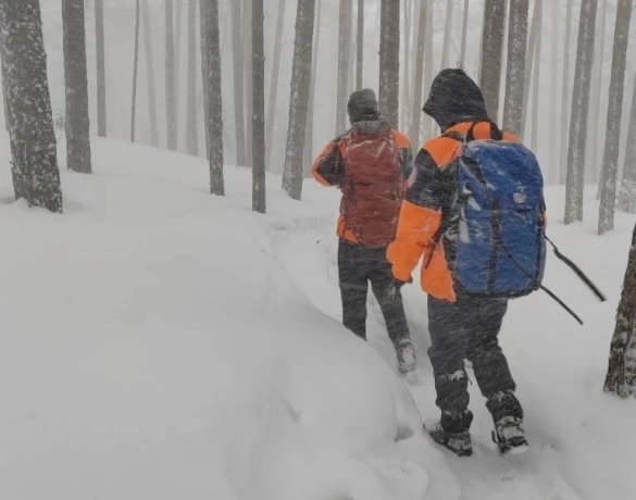 Фото: КГКУ «Спасатель»