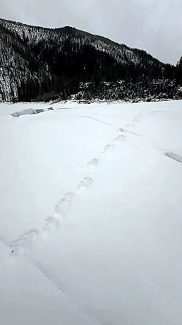 Фото: Заповедник «Хакасский».