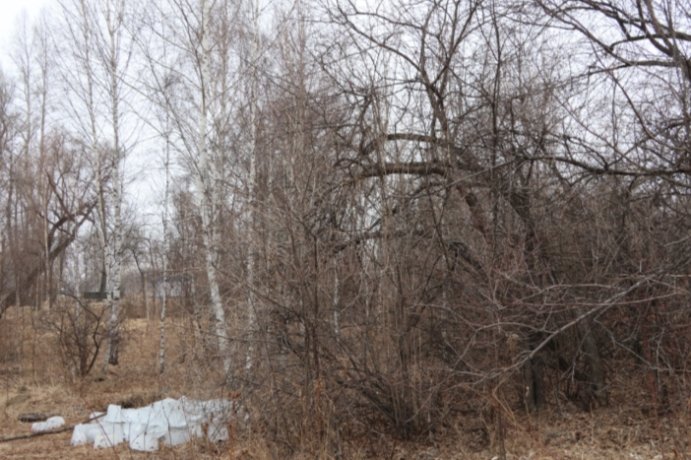 Фото: Администрация Абакана