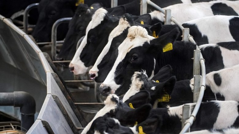 Фото: ИЗВЕСТИЯ/Сергей Лантюхов