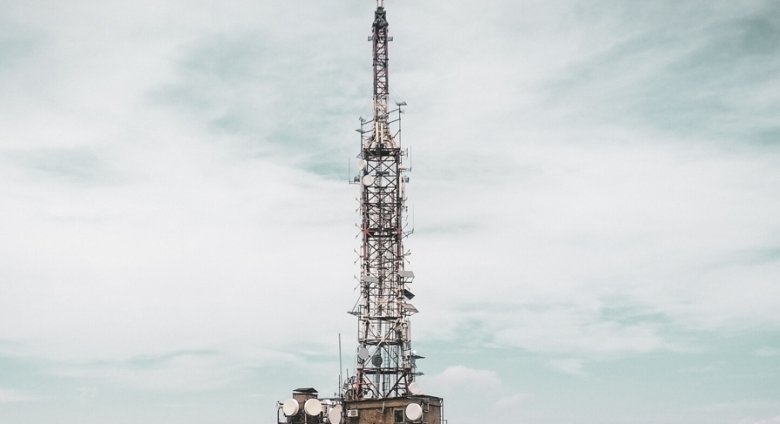 Фото: Adela Teodora/Shutterstock/FOTODOM