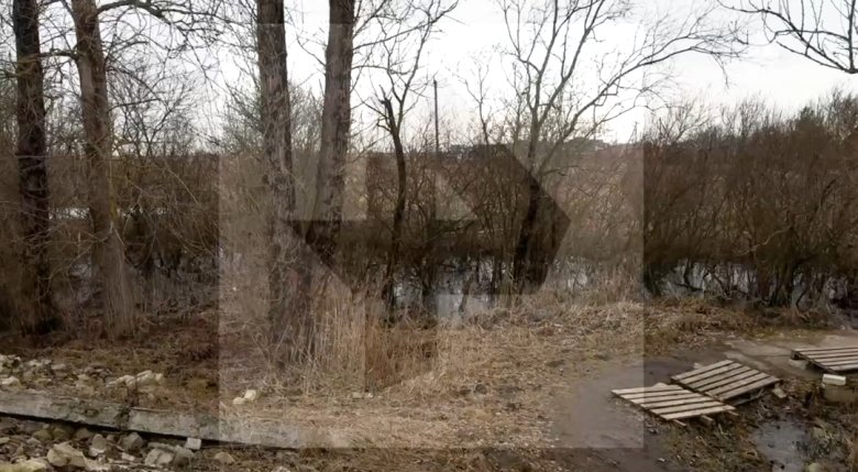 Фото / Видео: © РЕН ТВ / СК РФ