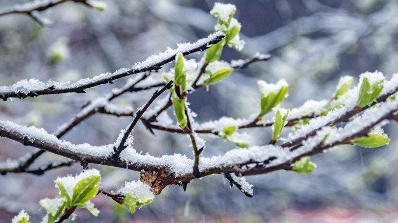  Фото: ИЗВЕСТИЯ/Константин Кокошкин