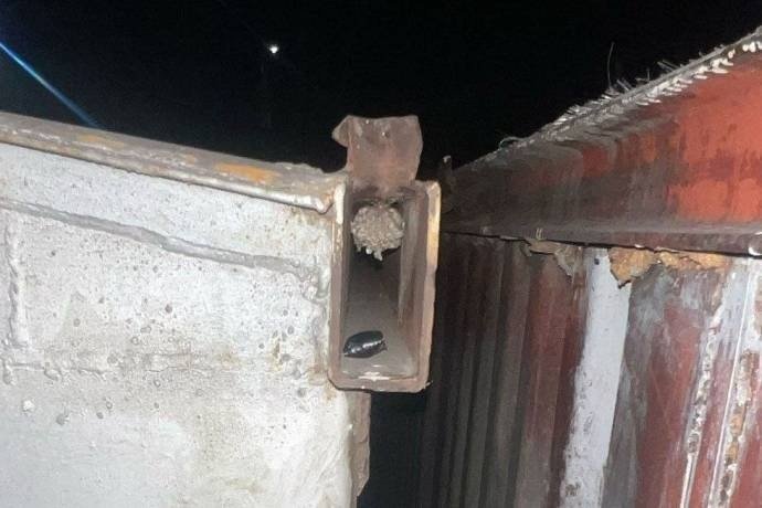 Фото: МВД по Хакасии 