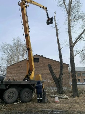 Фото: Елена Егорова