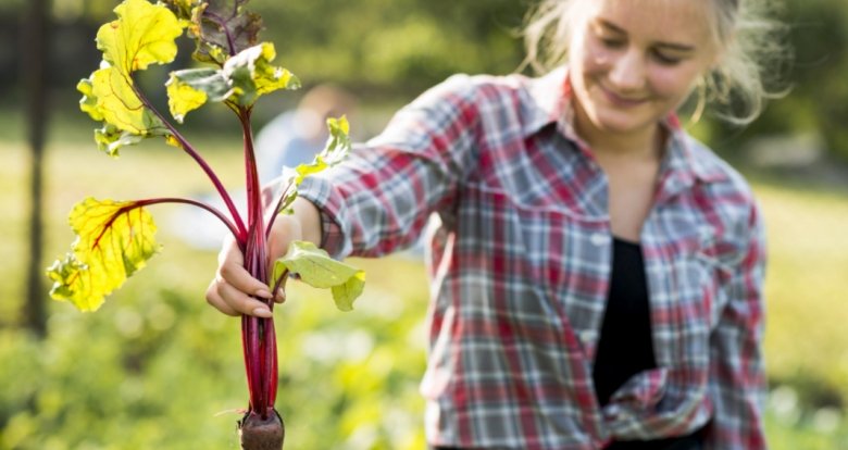 Фото: © Freepik