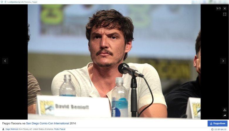 Скриншот: Wikipedia