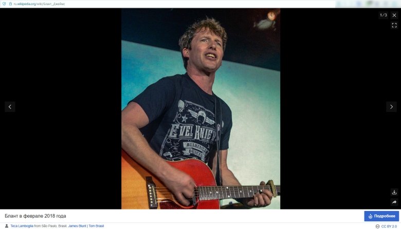 Скриншот: Wikipedia