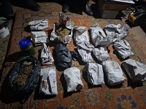 Фото: МВД по Красноярскому краю 