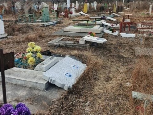 Фото: Елена Гопина