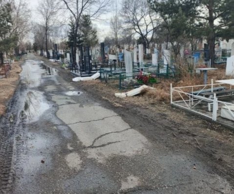 Фото: Елена Гопина