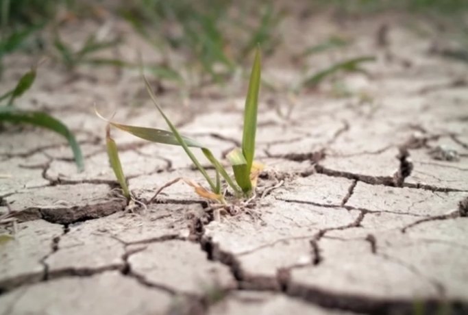 Фото: zhuda / istockphoto.com 