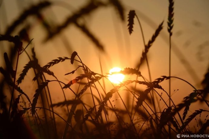 Фото:  РИА Новости / Александр Кряжев