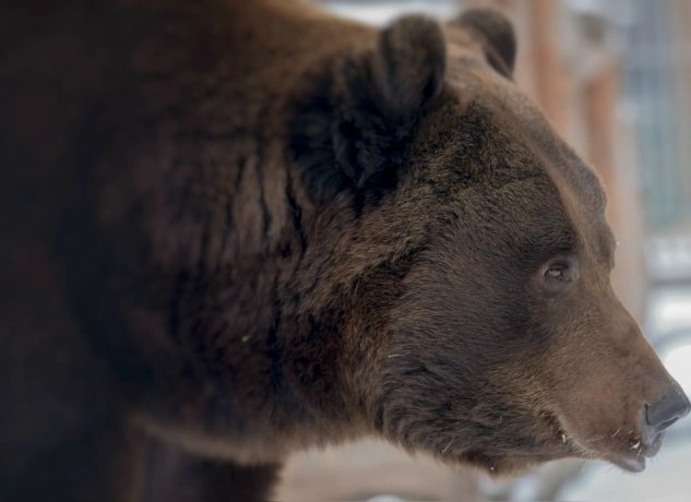 Фото: Минприроды Хакасии