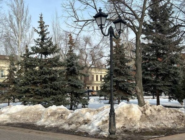 Фото: "МК в Самаре"