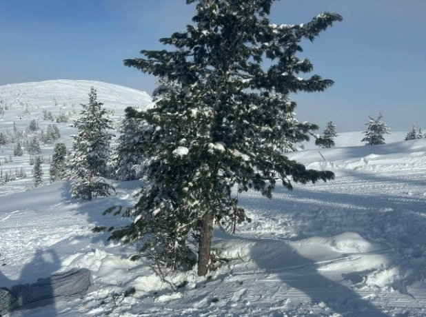 Фото: Прокуратура Красноярского края