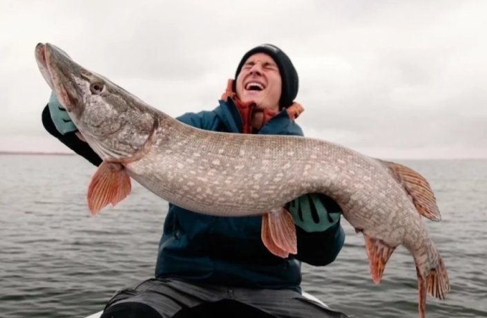 Фото: соцсети.