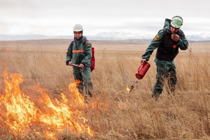 Фото: пресс-служба Минлеса Хакасии