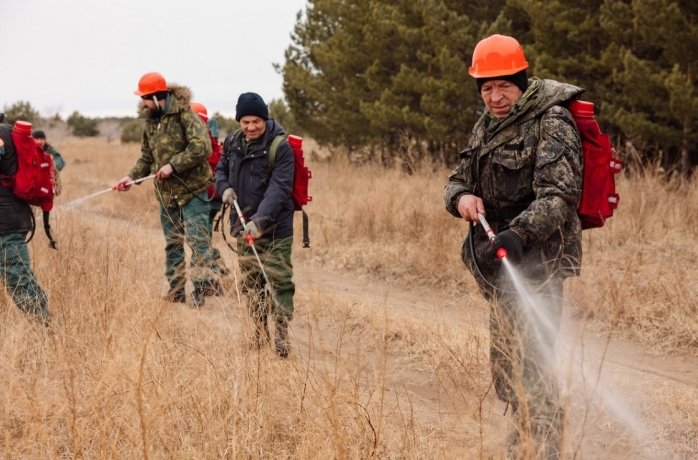 Фото: пресс-служба Минлеса Хакасии