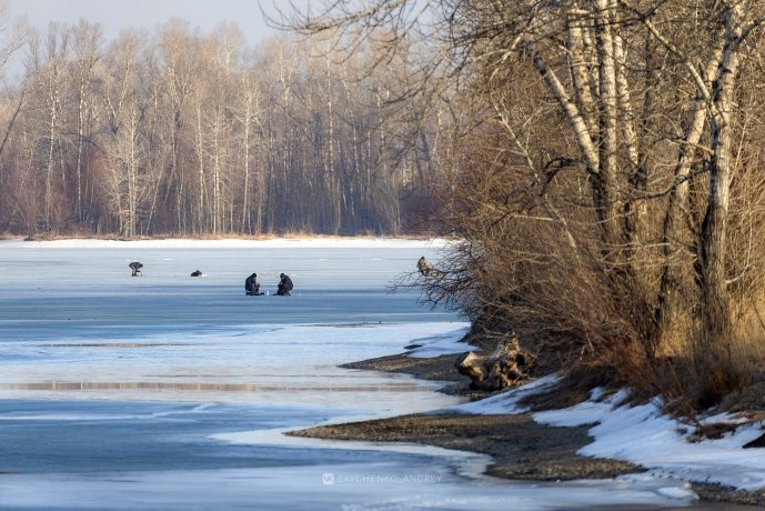 Фото: Андрей Зайченко