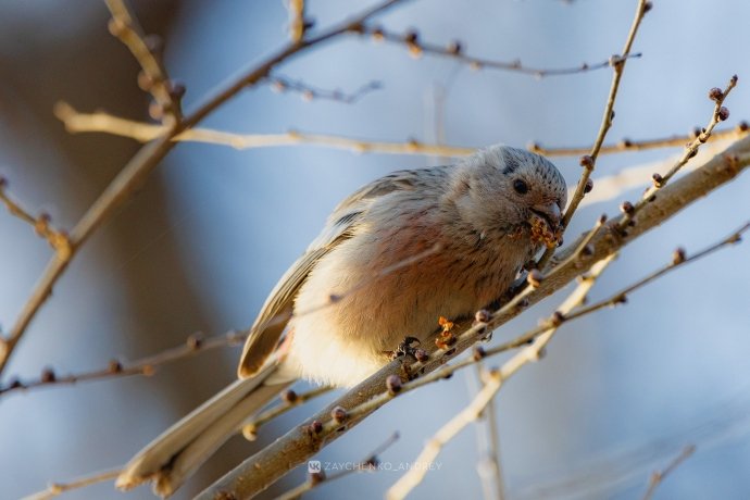 Фото: Андрей Зайченко