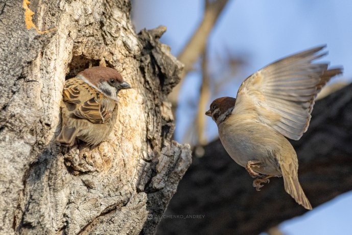 Фото: Андрей Зайченко