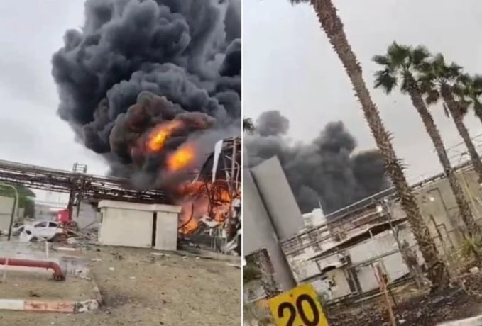 Фото: Коллаж АиФ