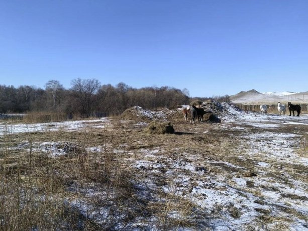 Фото: Россельхознадзор по Хакасии и Тыве 