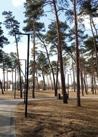 Фото: страница Дмитрия Меркулова во ВКонтакте.