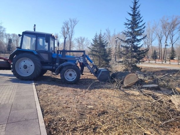Фото: Абаканское парковое хозяйство