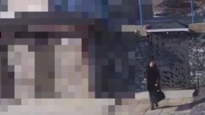 фото: скриншот видео t.me/prim_police