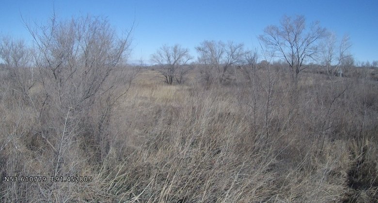 Фото: Управление Россельхознадзора по Хакасии и Тыве