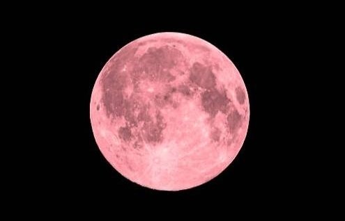 Фото: Обложка © Qwen3.5-Plus / Life.ru