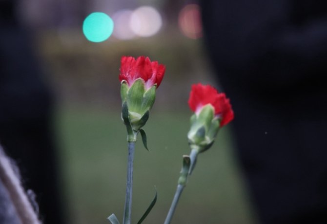 Фото © Анастасия Романова / Абзац